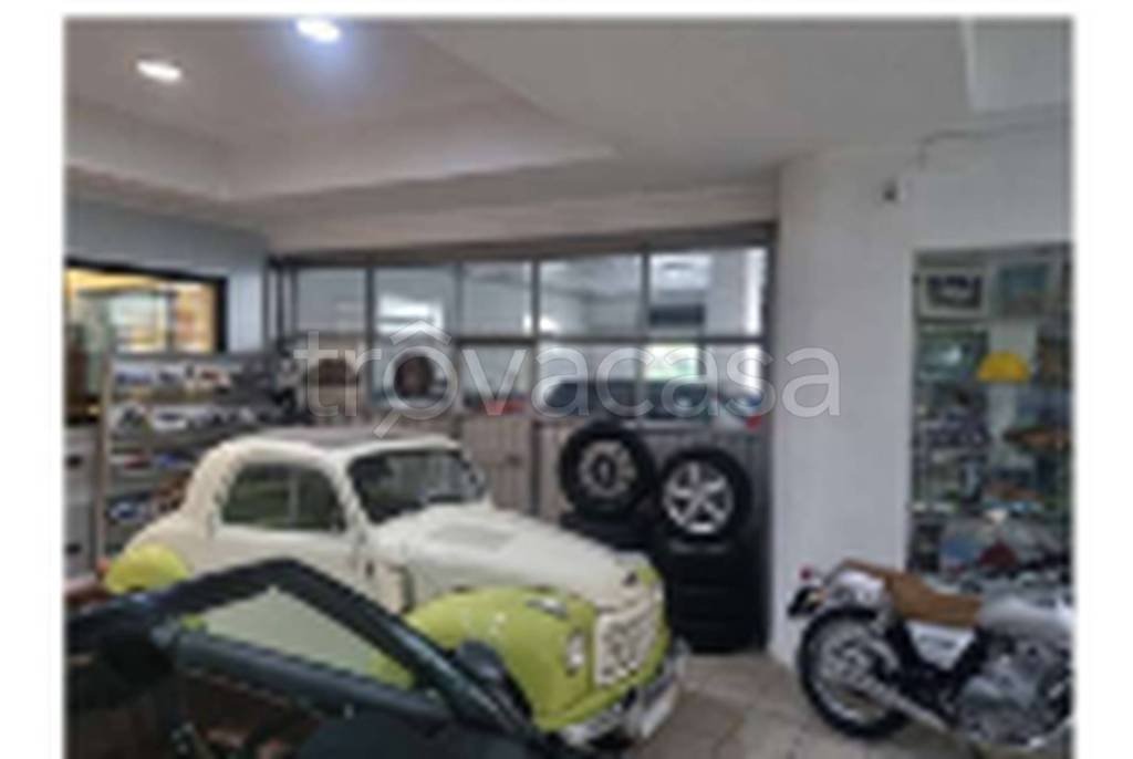 immagine annuncio 9 di 11