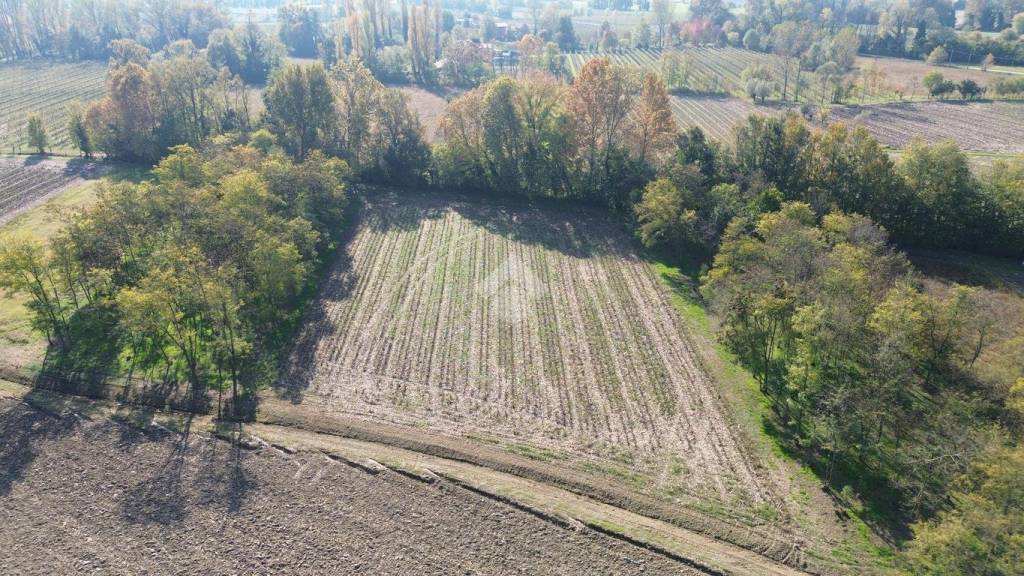 immagine annuncio 5 di 8