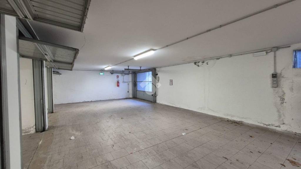 immagine annuncio 12 di 14