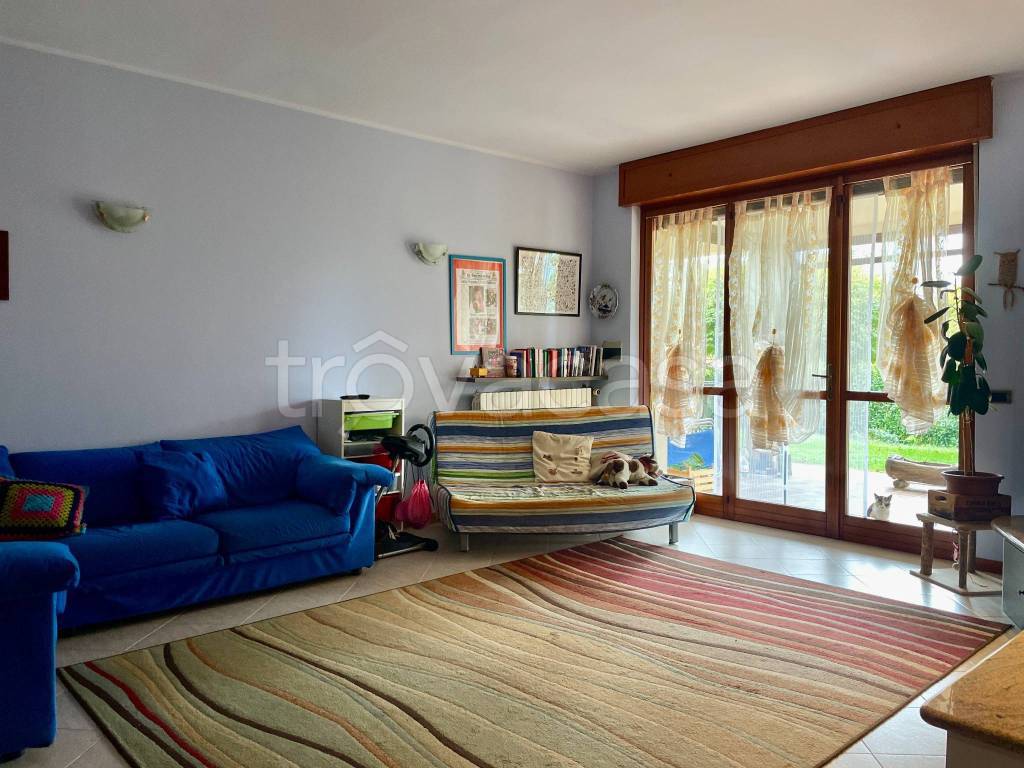 immagine annuncio 4 di 15