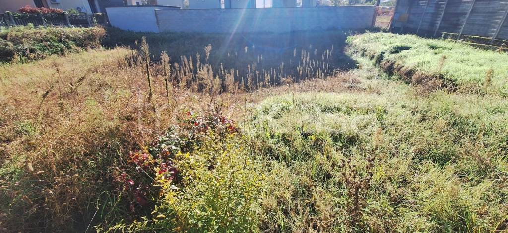 immagine annuncio 9 di 13