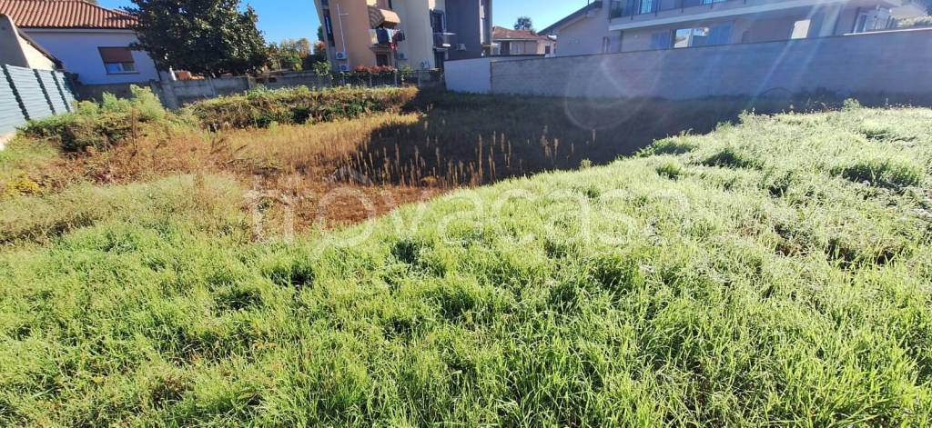 immagine annuncio 11 di 13