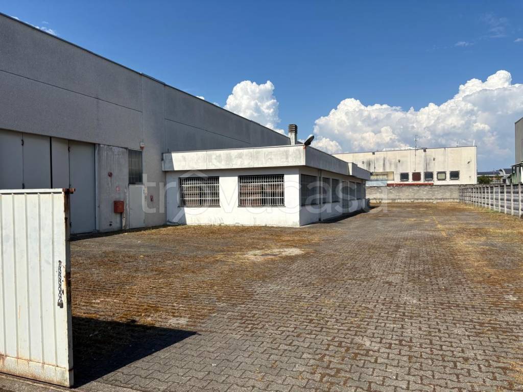 immagine annuncio 2 di 15