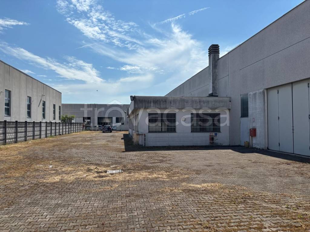 immagine annuncio 1 di 15