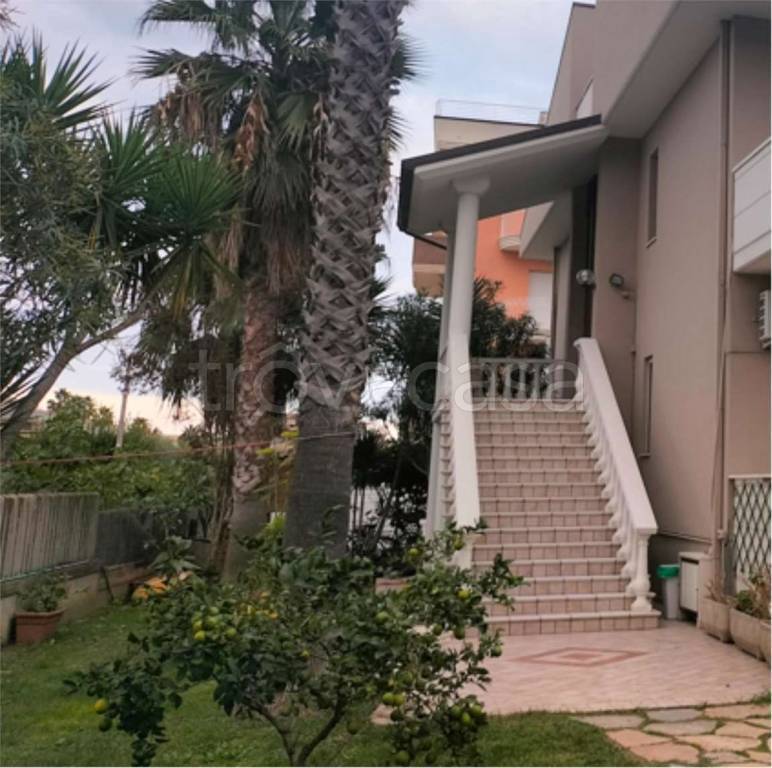 immagine annuncio 11 di 14