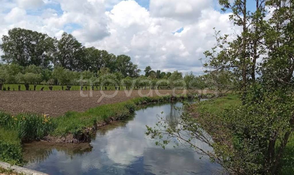 immagine annuncio 2 di 6