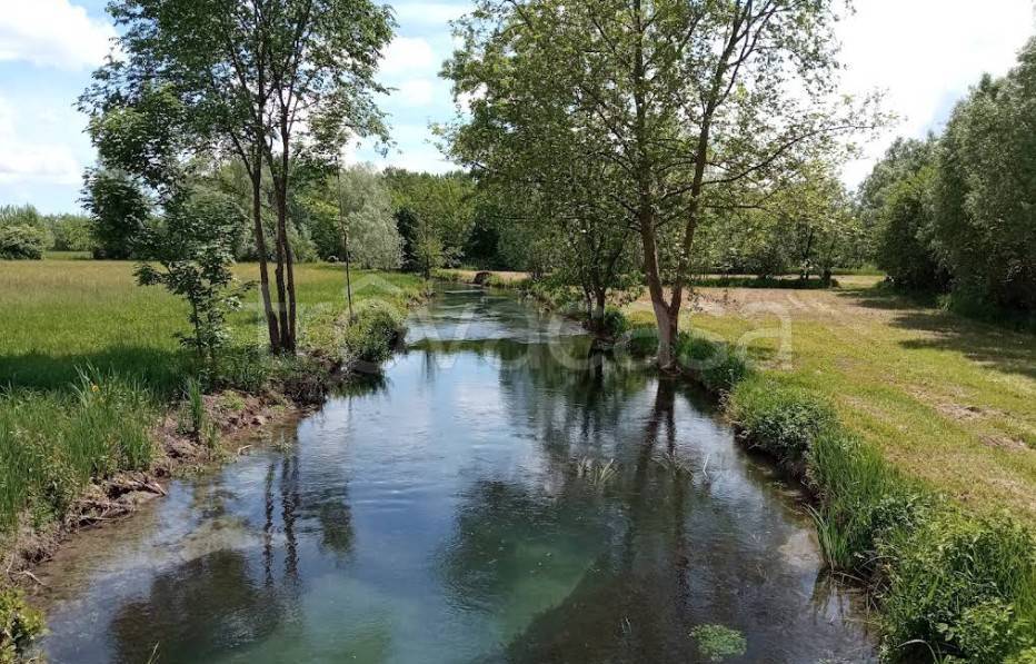 immagine annuncio 3 di 6