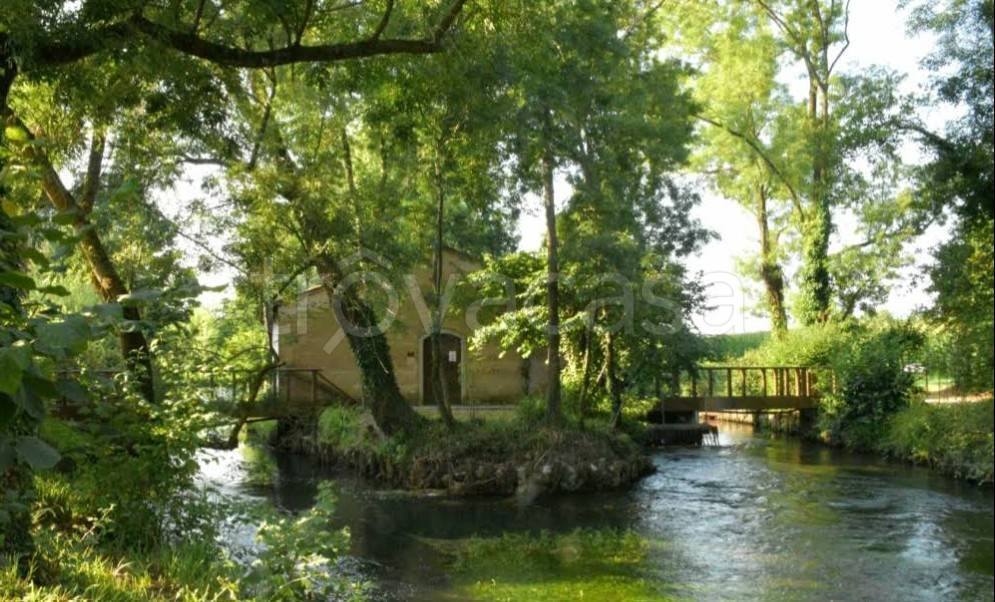 immagine annuncio 5 di 6