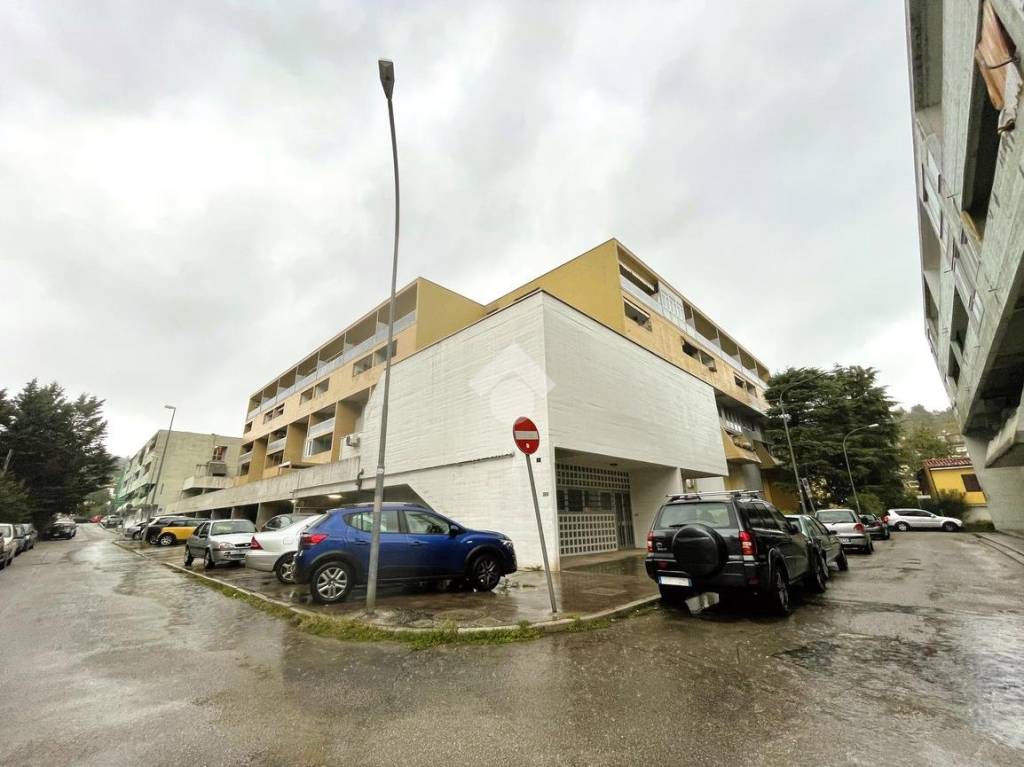 immagine annuncio 9 di 13