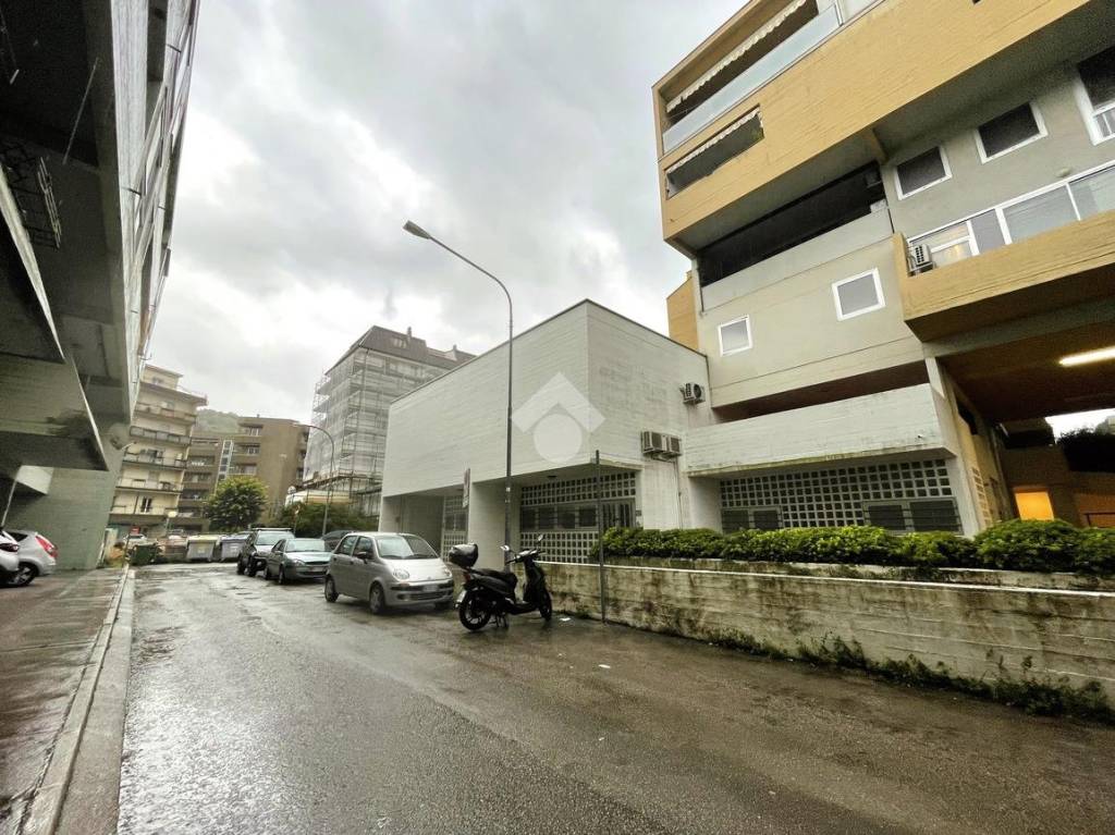 immagine annuncio 10 di 13