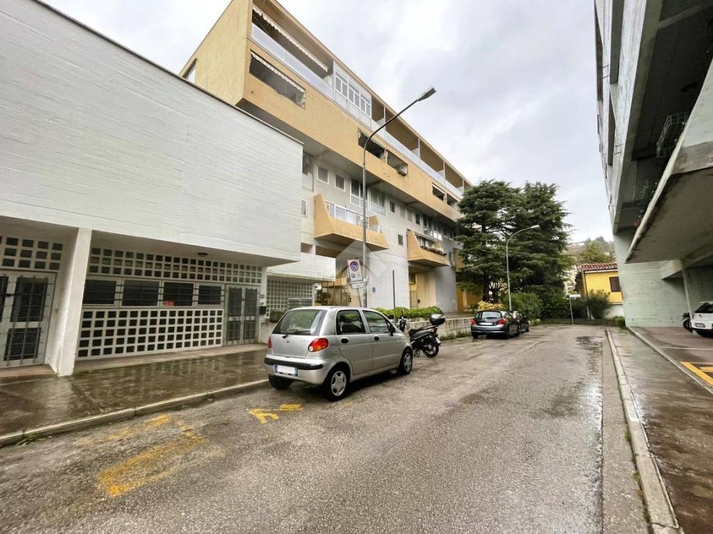 immagine annuncio 11 di 13