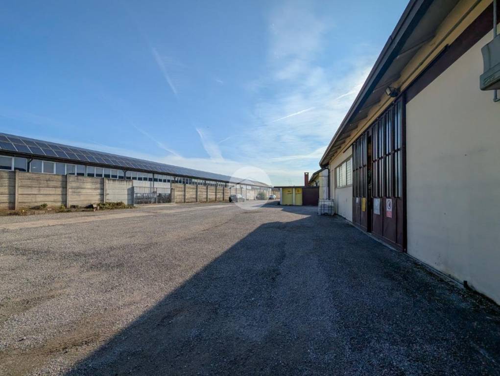 immagine annuncio 2 di 9