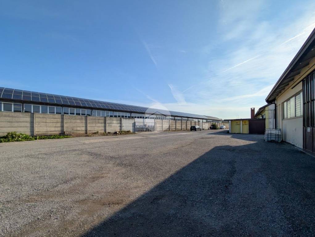 immagine annuncio 6 di 9