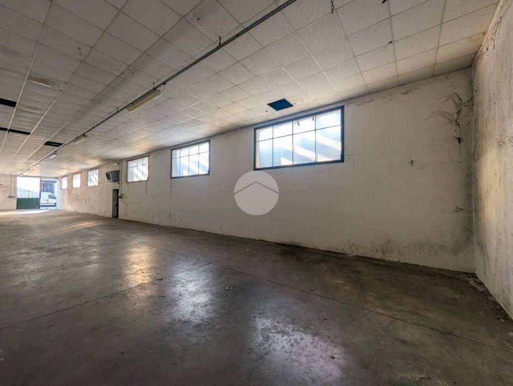 immagine annuncio 2 di 11