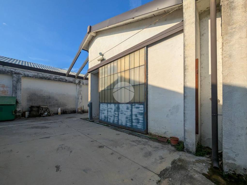 immagine annuncio 8 di 11