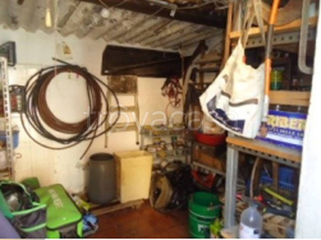 immagine annuncio 3 di 12