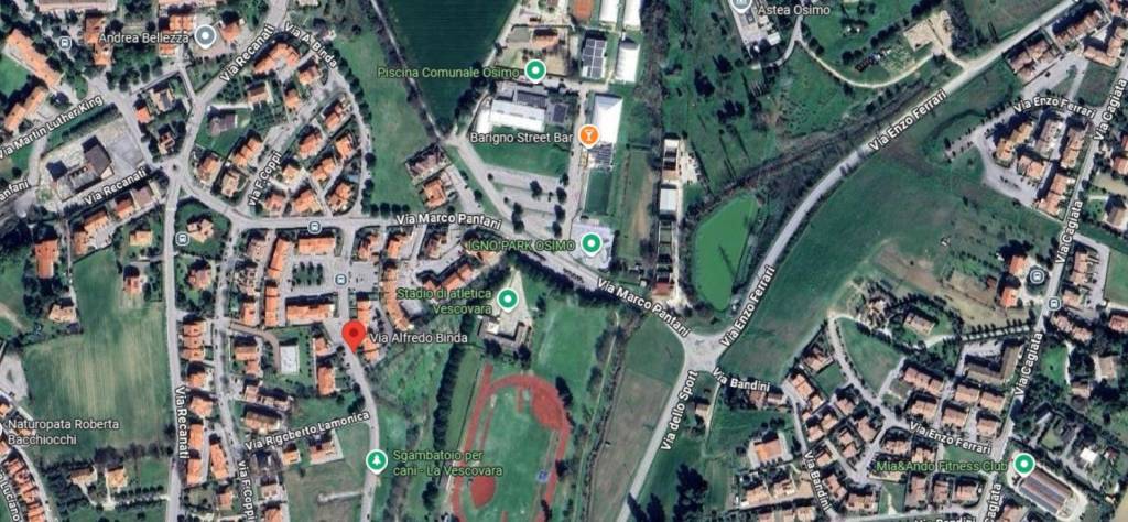 immagine annuncio 4 di 11