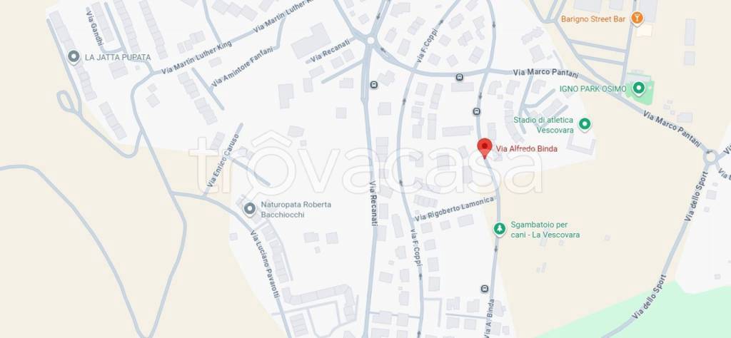 immagine annuncio 7 di 11