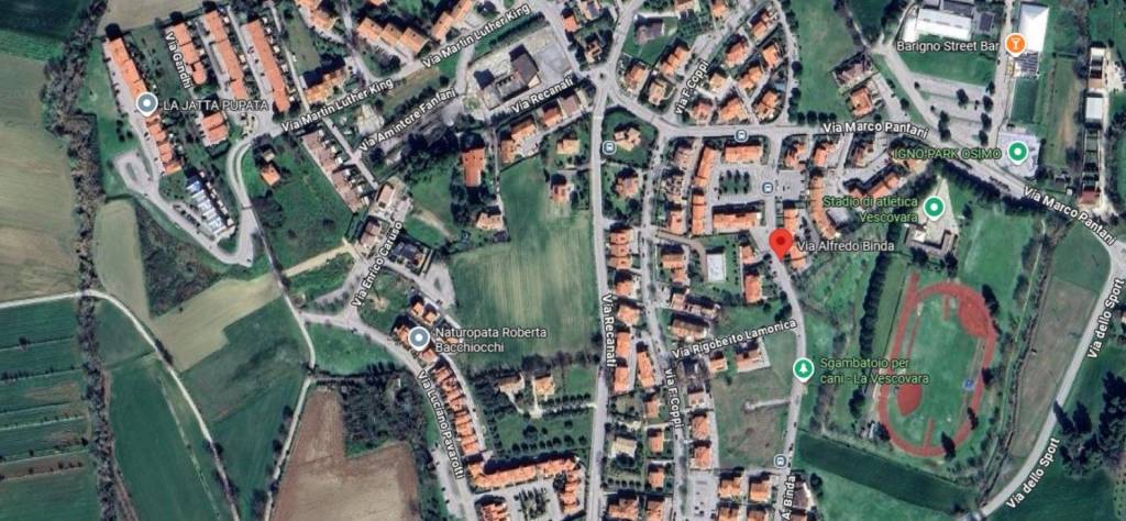 immagine annuncio 10 di 11