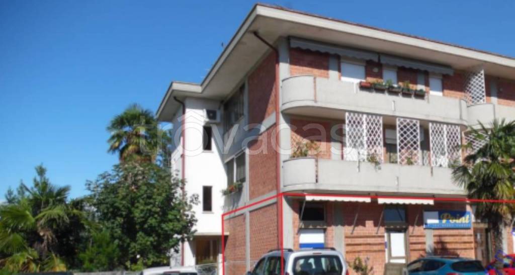 immagine annuncio 2 di 12