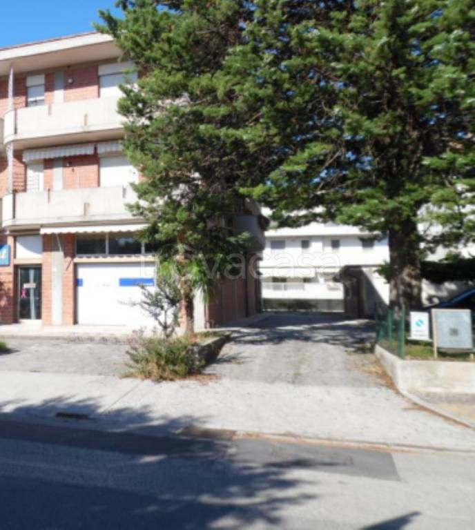 immagine annuncio 3 di 12