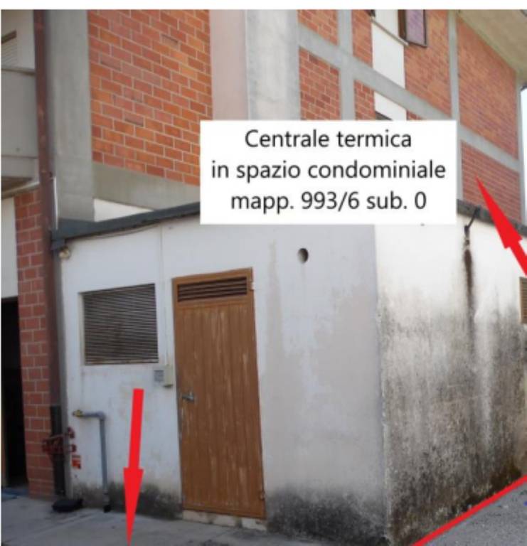 immagine annuncio 4 di 12