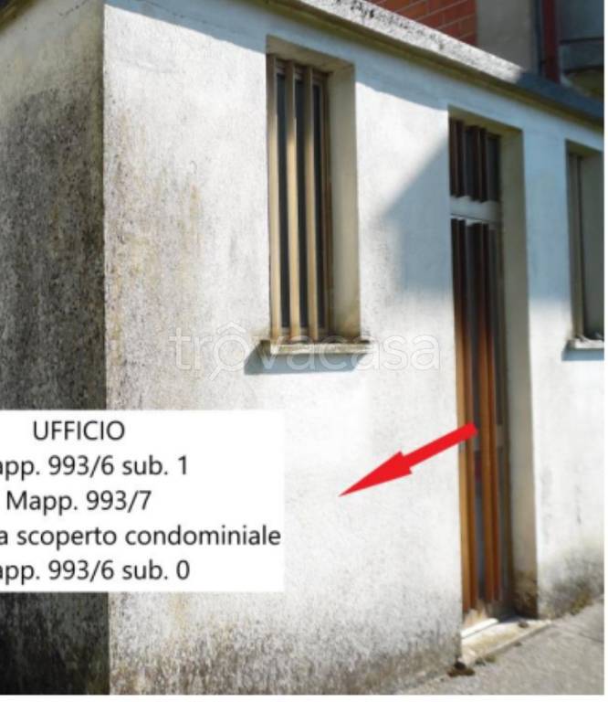 immagine annuncio 5 di 12