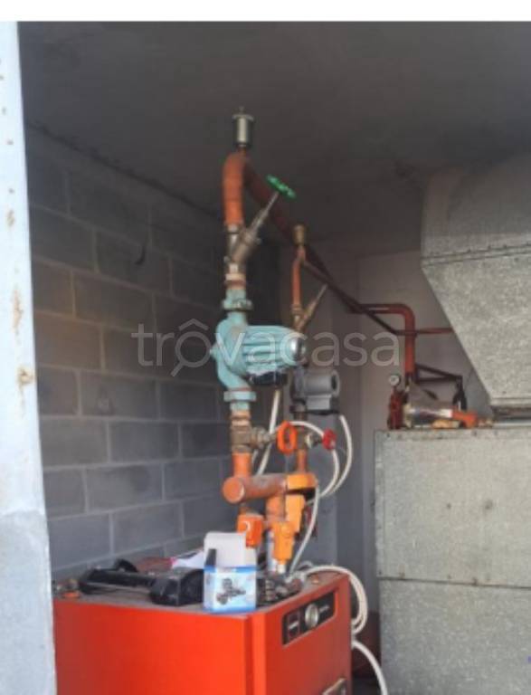 immagine annuncio 6 di 12