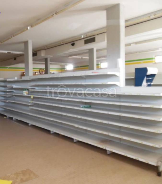 immagine annuncio 7 di 12