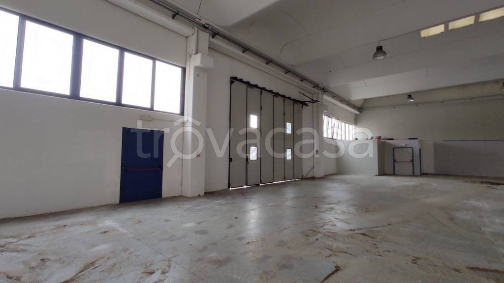 immagine annuncio 1 di 6