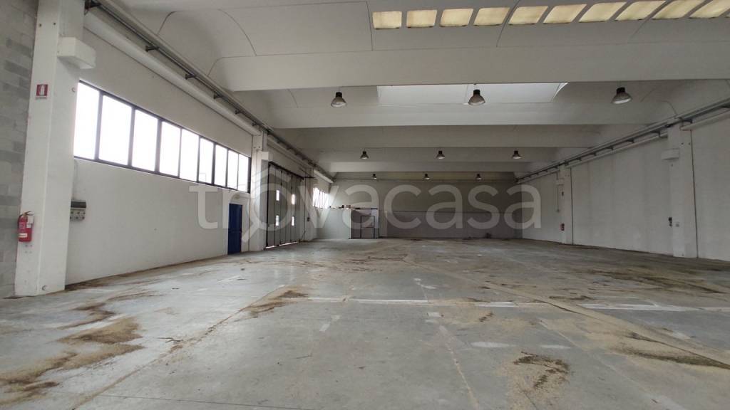 immagine annuncio 2 di 6