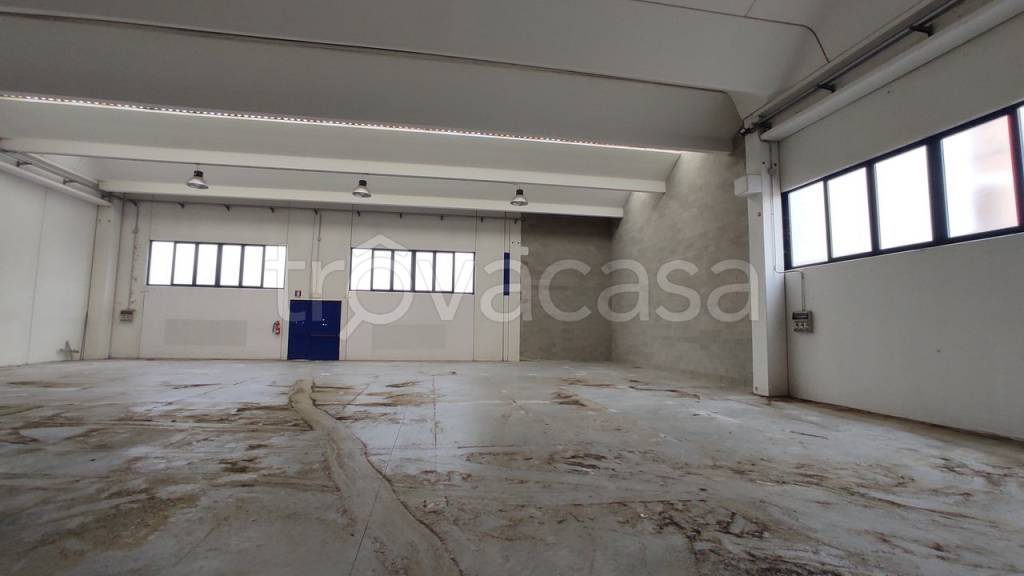 immagine annuncio 3 di 6