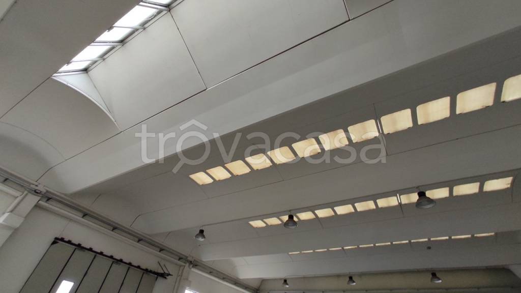 immagine annuncio 5 di 6