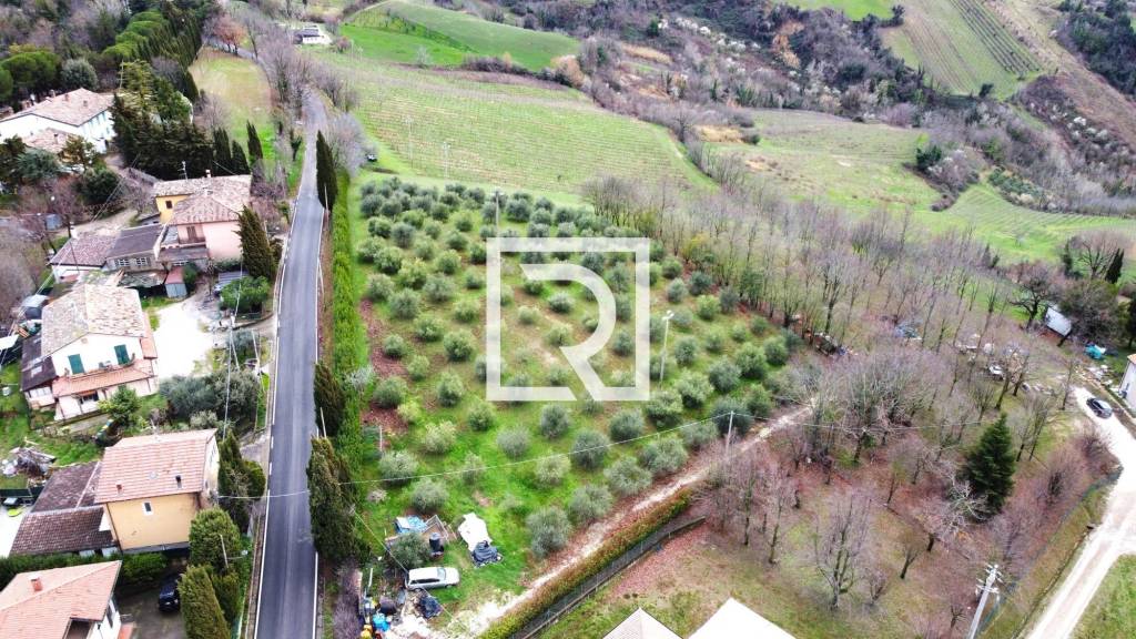 immagine annuncio 1 di 8