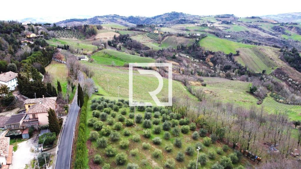 immagine annuncio 3 di 8