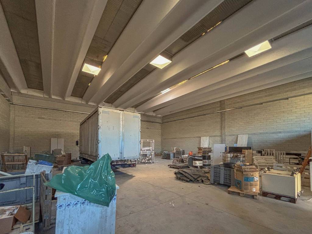 immagine annuncio 1 di 11