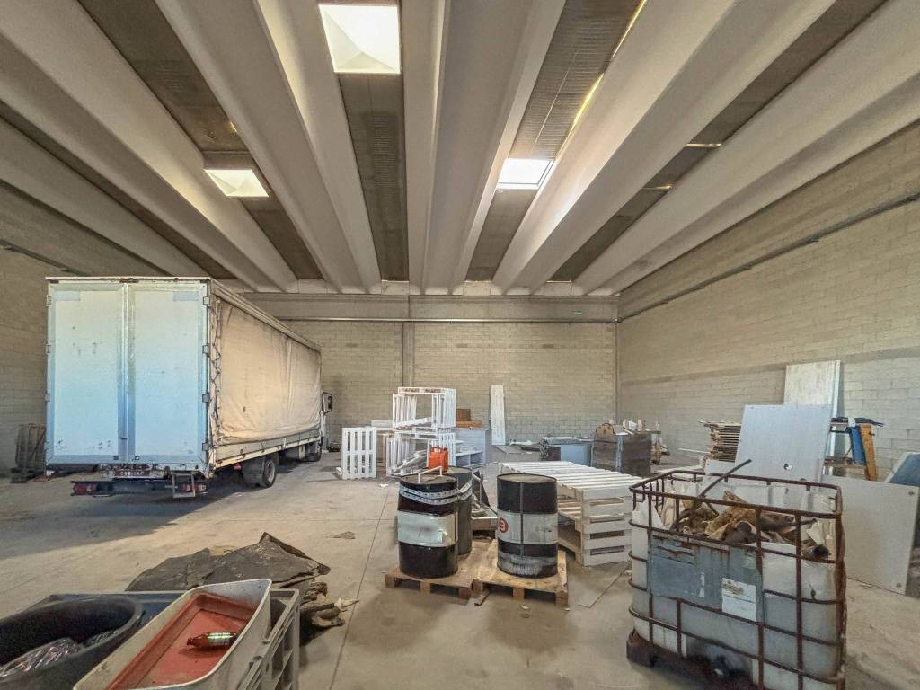 immagine annuncio 5 di 11