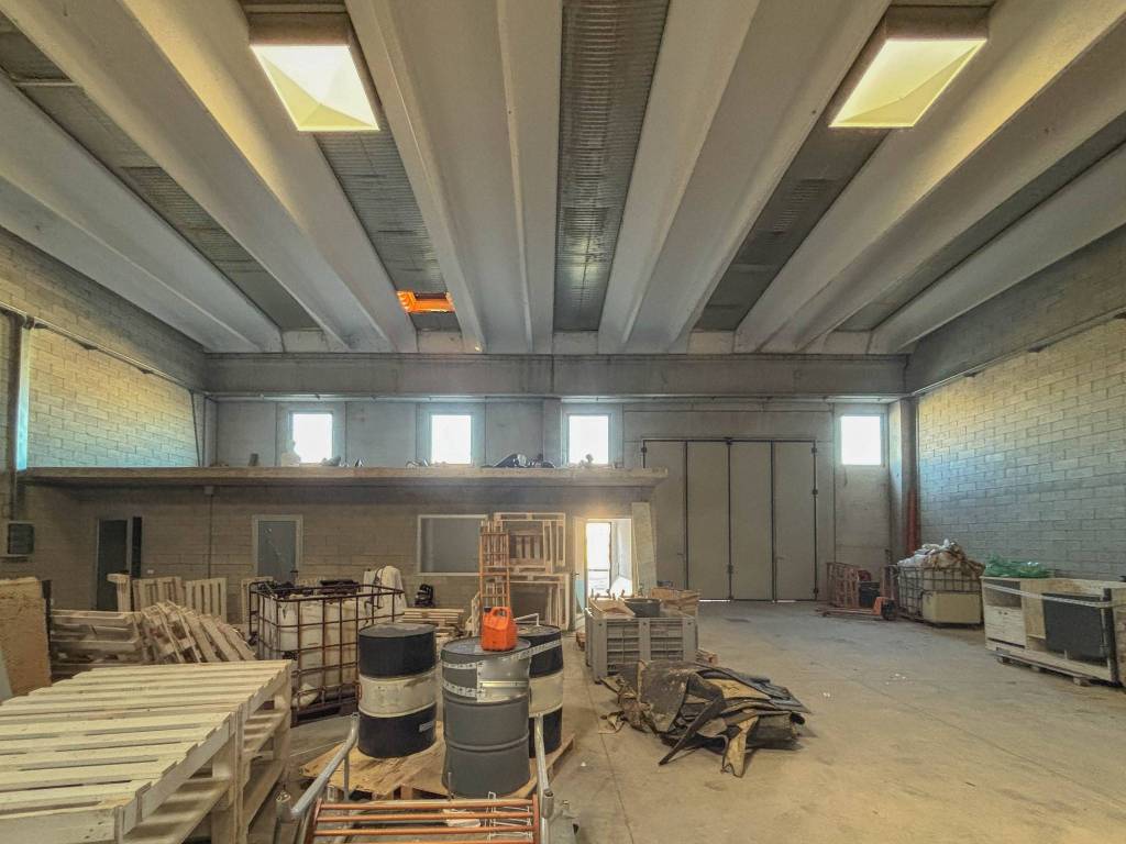 immagine annuncio 9 di 11