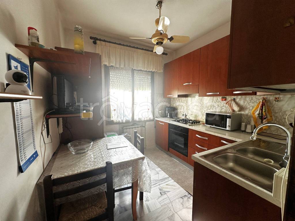 immagine annuncio 1 di 14