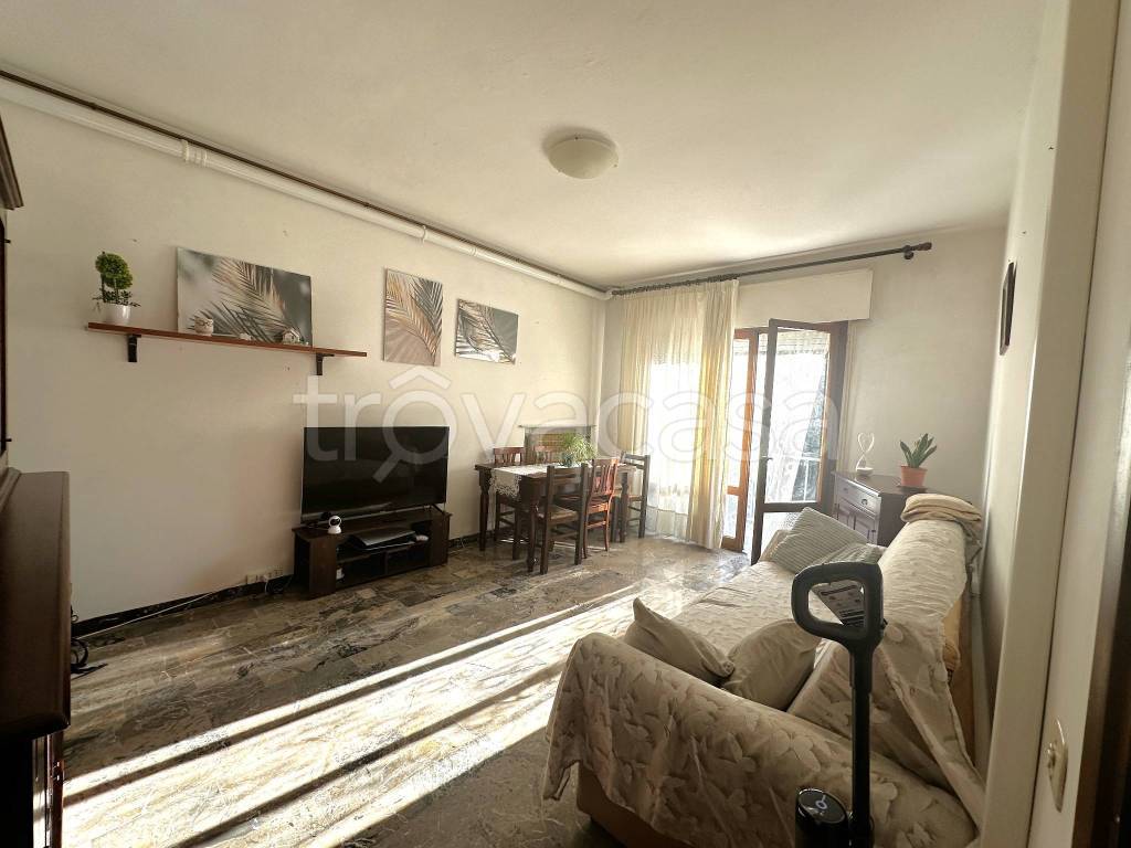 immagine annuncio 3 di 14