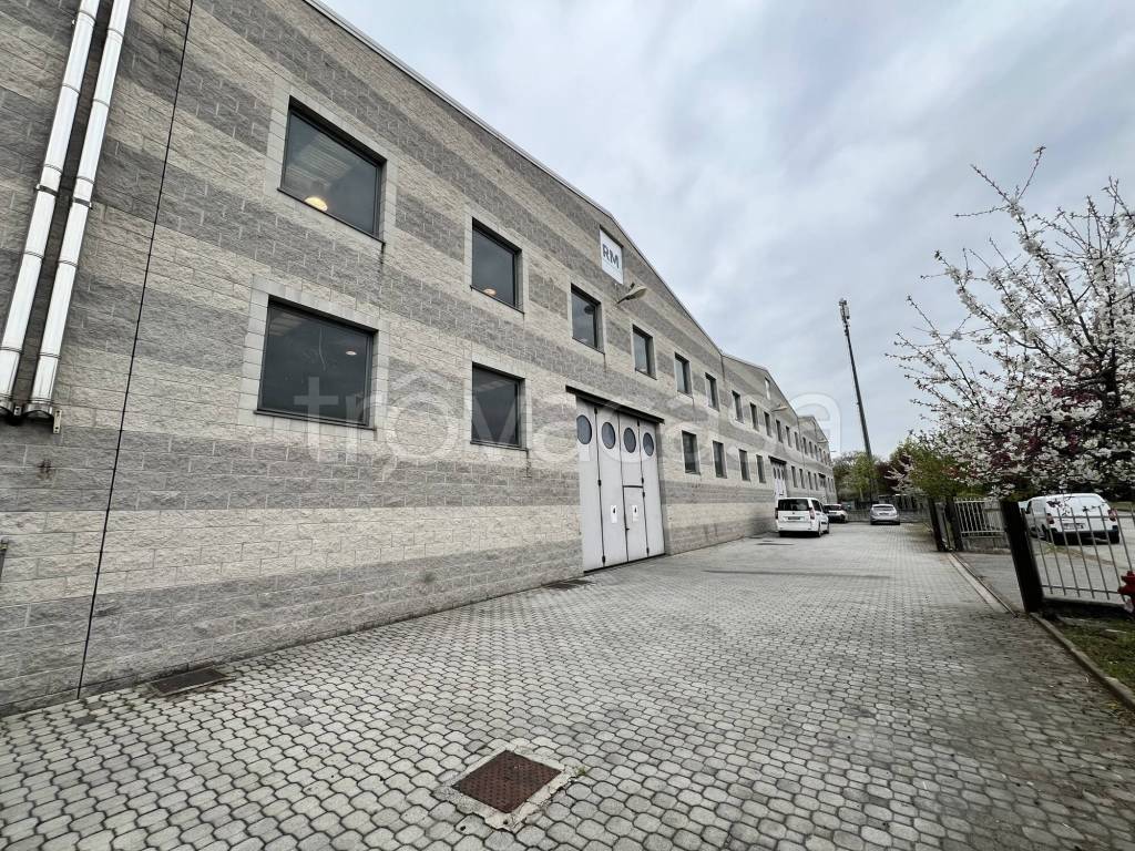 immagine annuncio 1 di 15