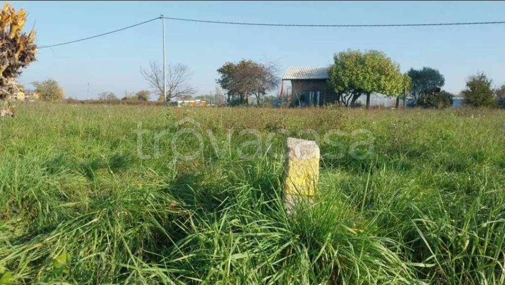 immagine annuncio 2 di 4