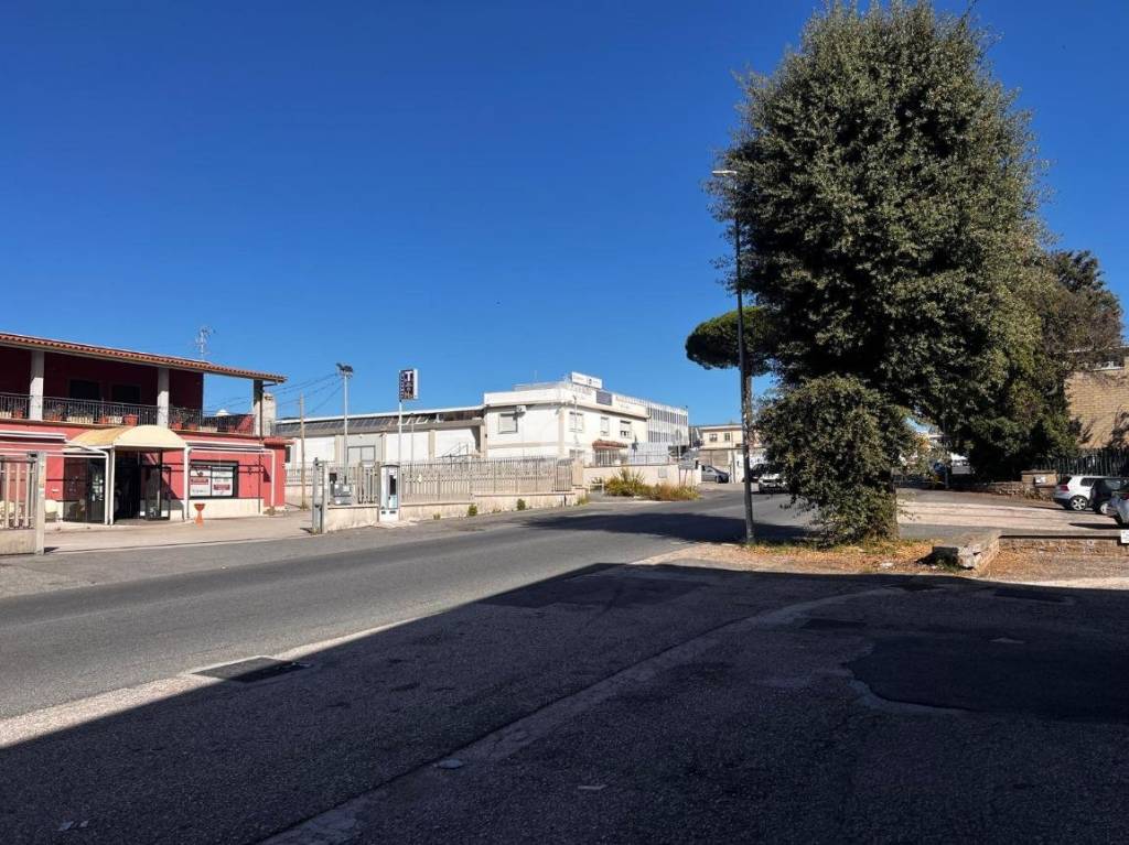 immagine annuncio 1 di 6