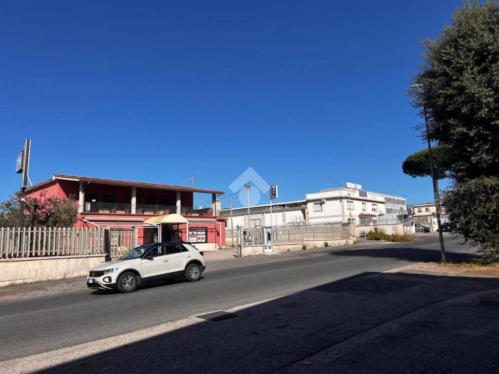 immagine annuncio 2 di 6