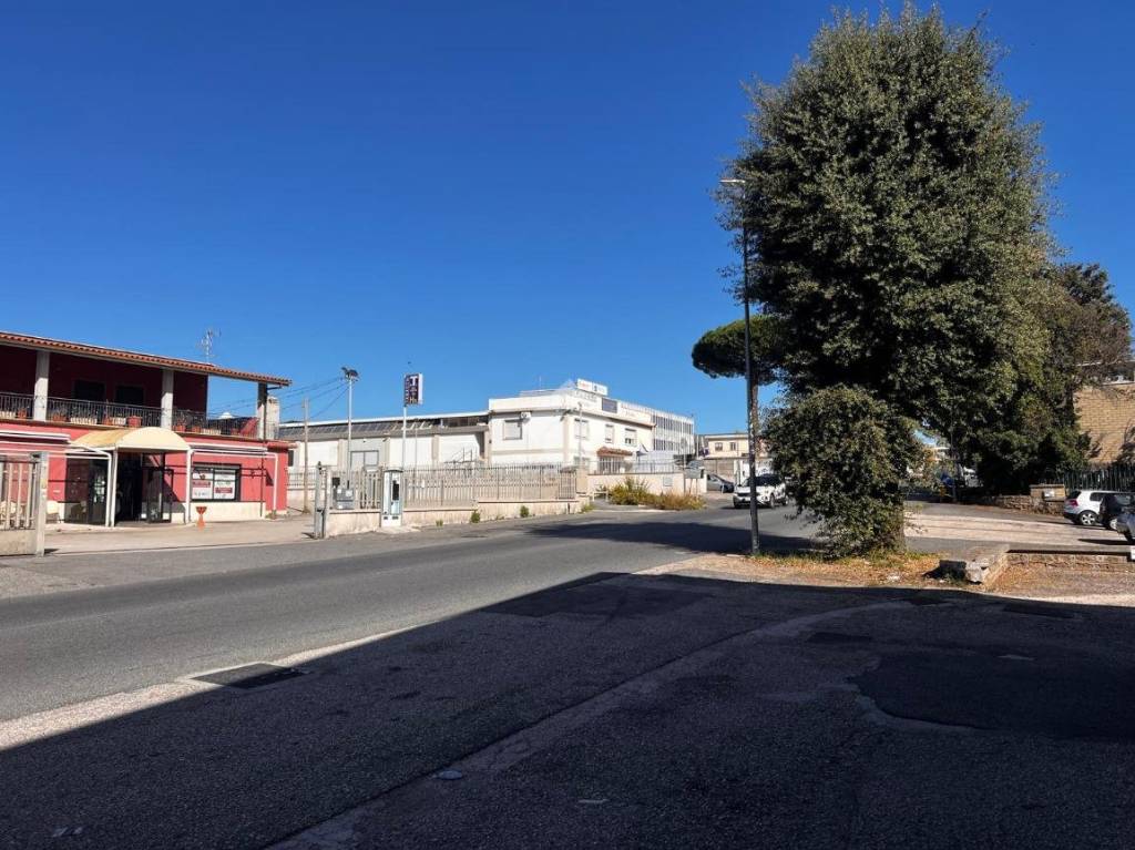 immagine annuncio 4 di 6