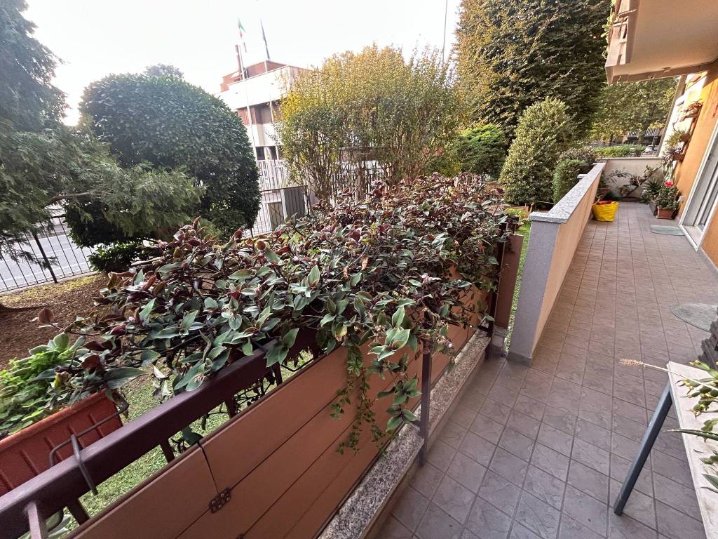 immagine annuncio 1 di 15