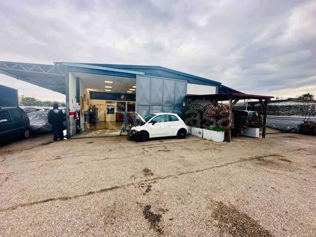 immagine annuncio 3 di 10