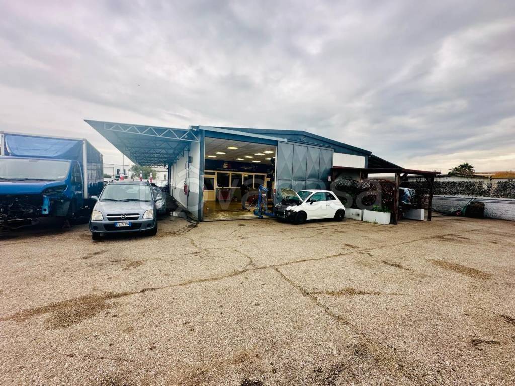 immagine annuncio 4 di 10