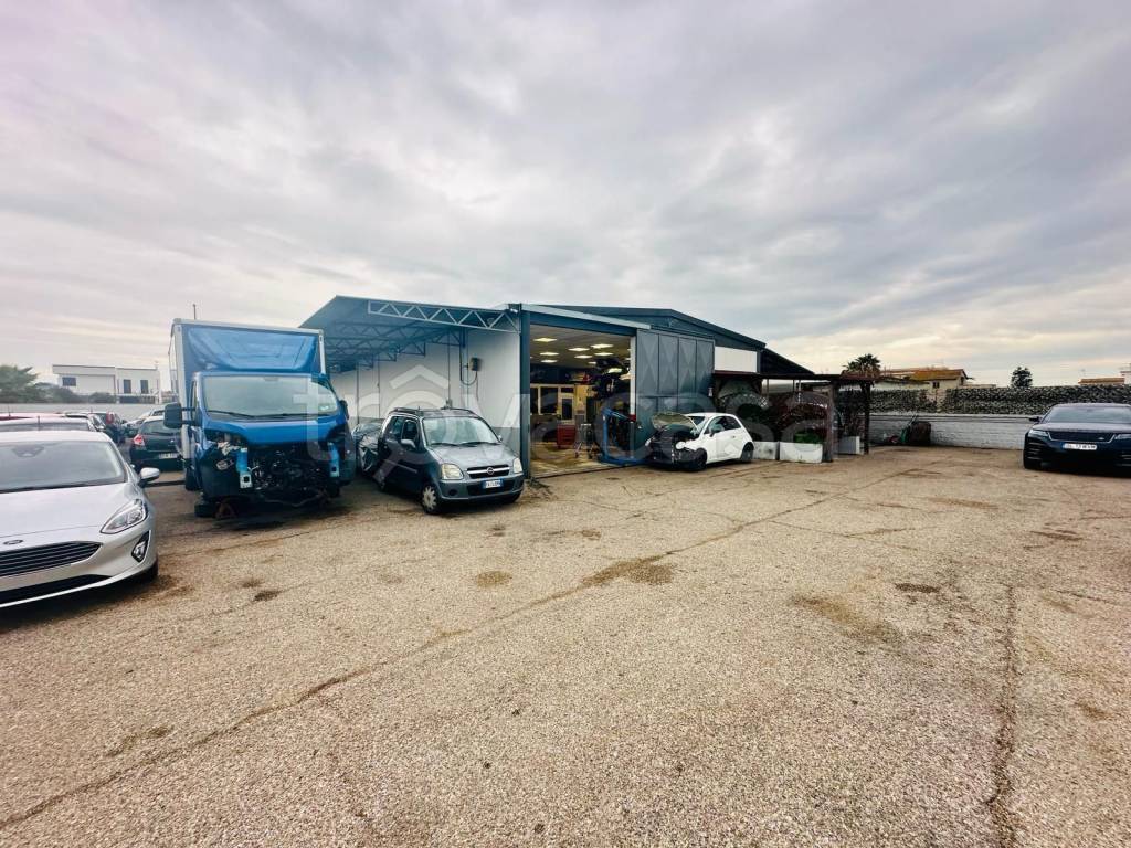 immagine annuncio 5 di 10