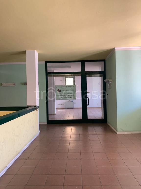 immagine annuncio 1 di 14